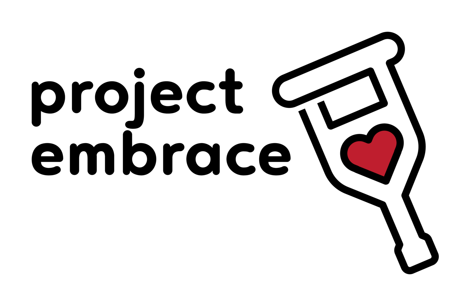 Project Embrace Logo